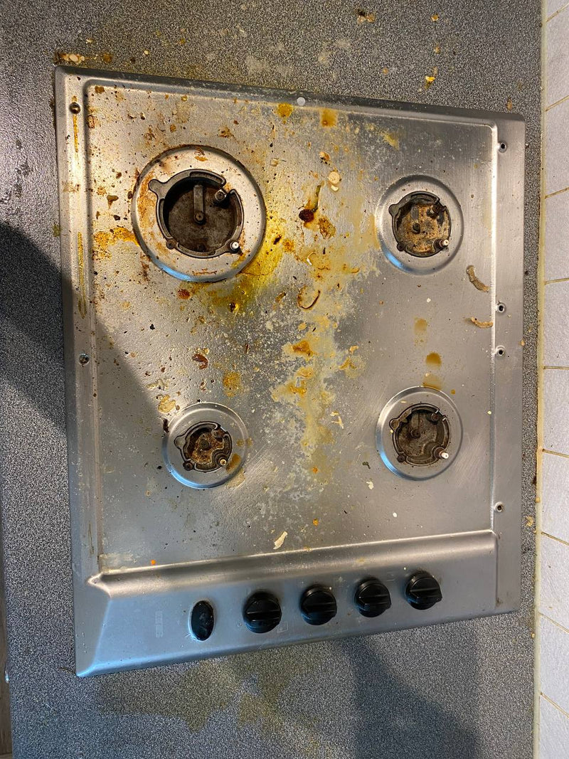 domestic