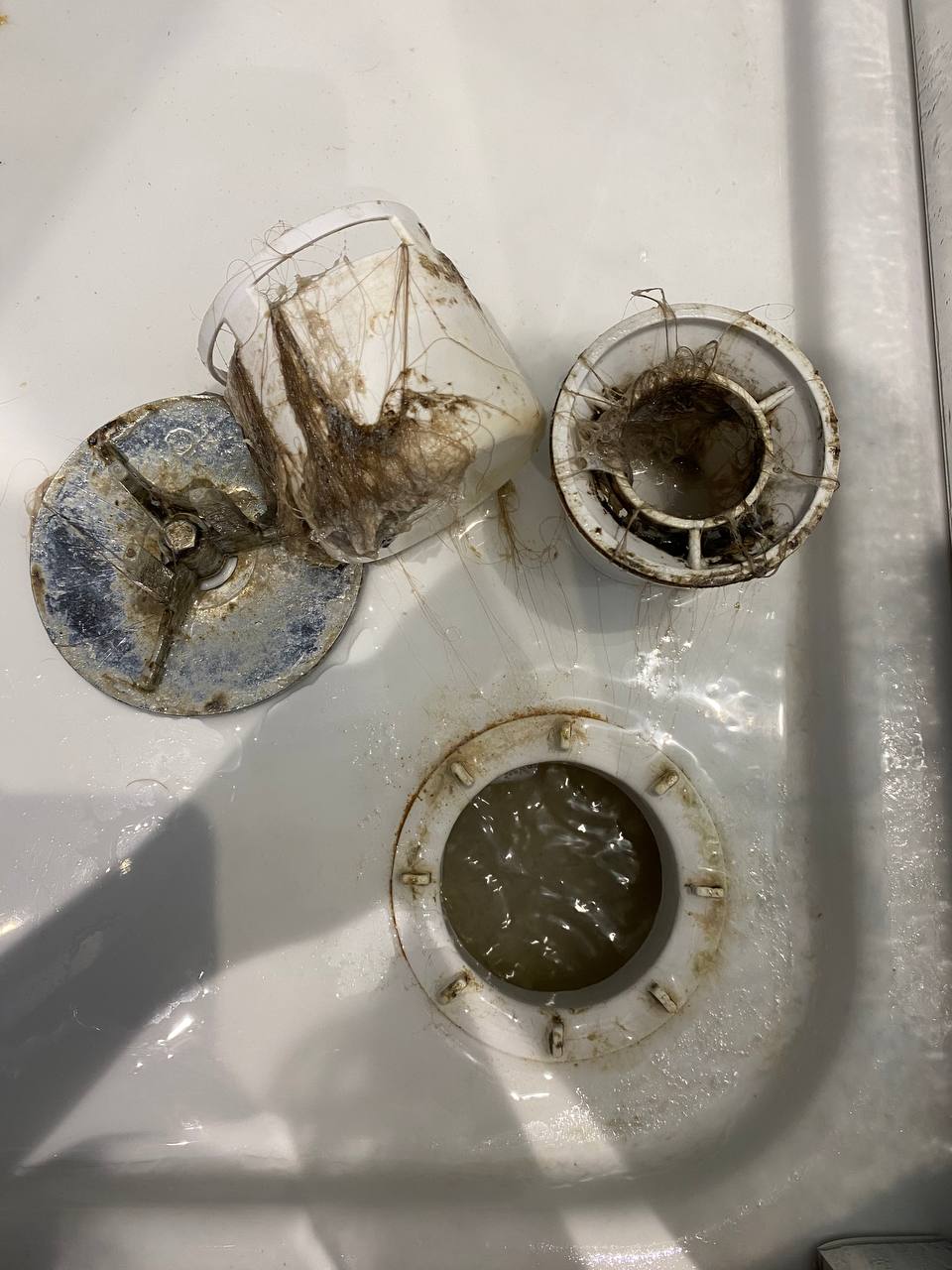 After cleaning